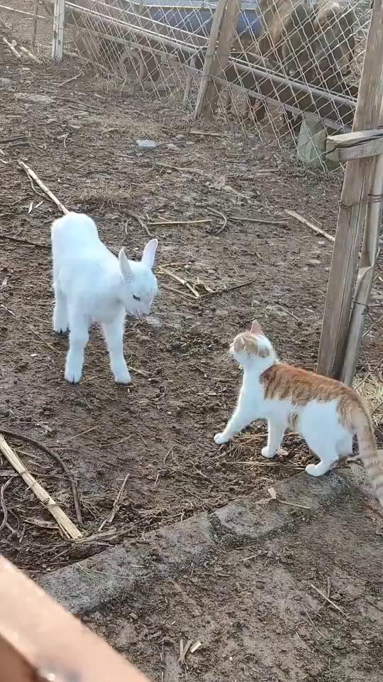 你看看这。