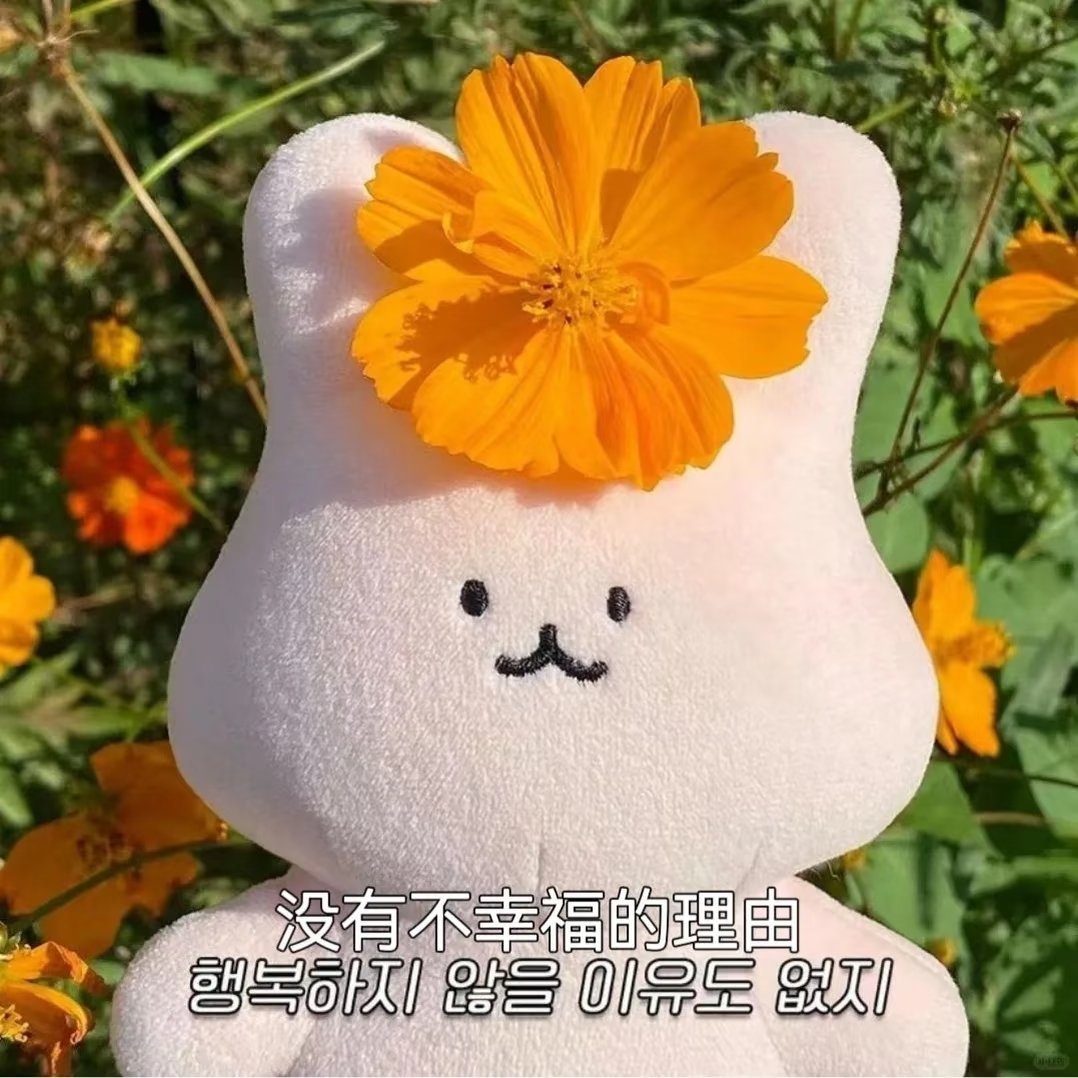 孟子义 又一次让姐姐看到了灯牌，我觉得幸福 