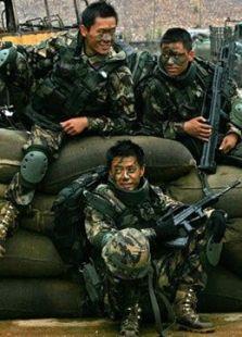 从2006年开始看【士兵突击】，到现在如今20年了。
每年刷这部电视剧的频率不下