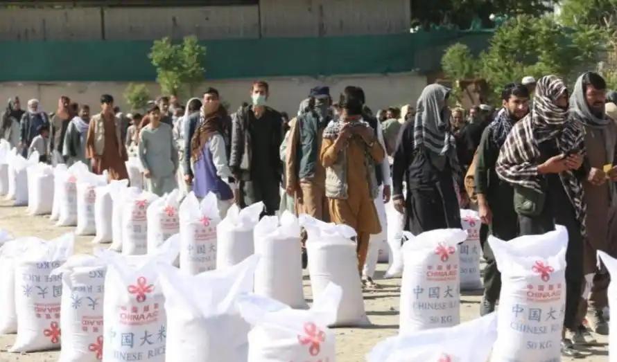 古巴一个老天爷赏饭吃的地方，雨水充沛日照充足，竟然混成饭都吃不饱，谁的错？就这样