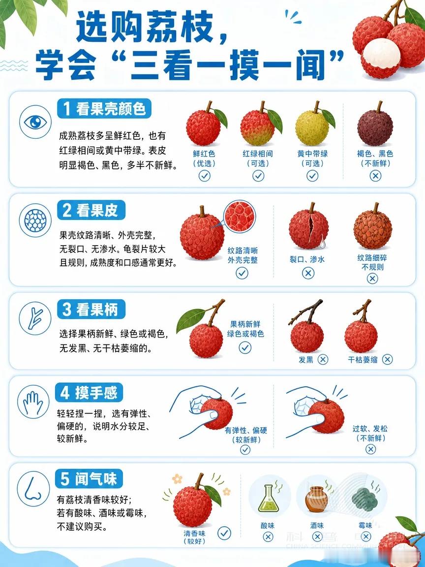健康奥斯卡高考健闻登顶计划 选购荔枝，“三看一摸一闻” 