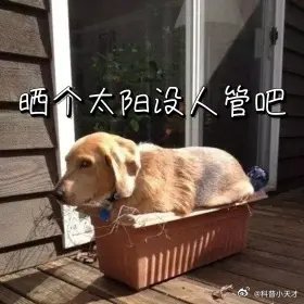 我读中学时，学生放学后，各科老师会组织各班尖子生再加课，讲授更深的内容。不收费，
