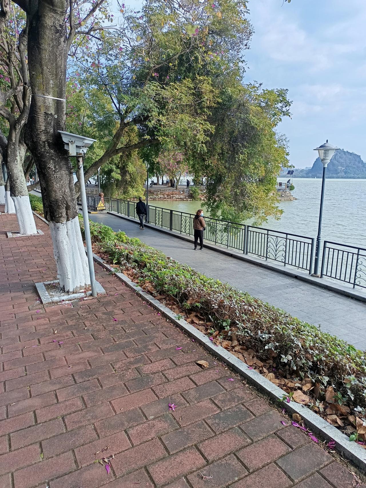 左边是星湖，右边是紫荆西提


你敢相信吗？这就是星湖边的紫荆西提
现在正是紫荆