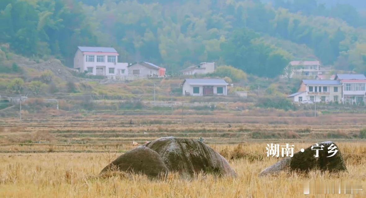 十个勤天评论区语音催开播种地吧 整活来啦，期待已久的开播时间终于定了，大家准备好