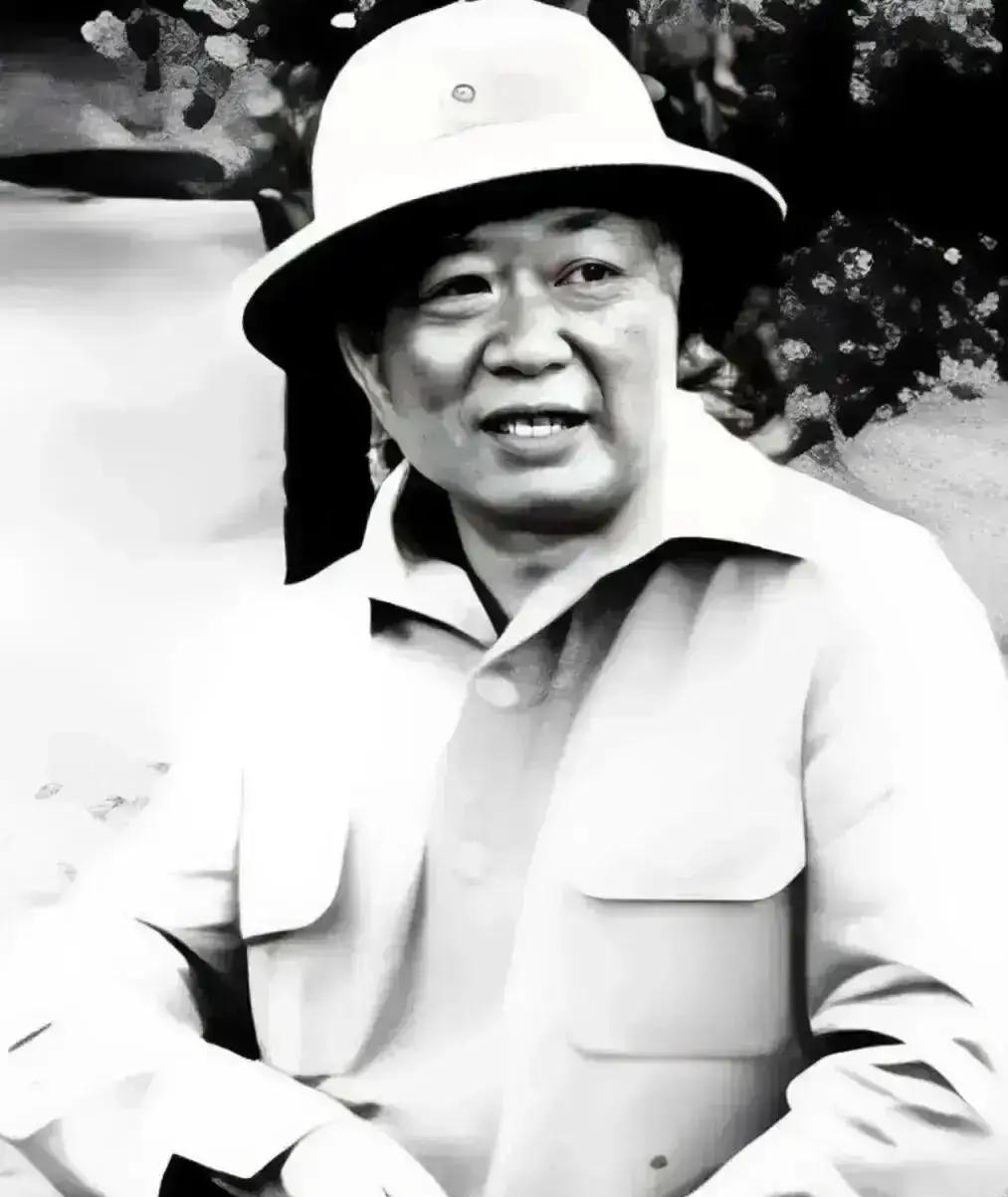 1961年，段希文接到撤台命令满心欢喜准备归台，临上飞机突接蒋介石密电：“你麾下