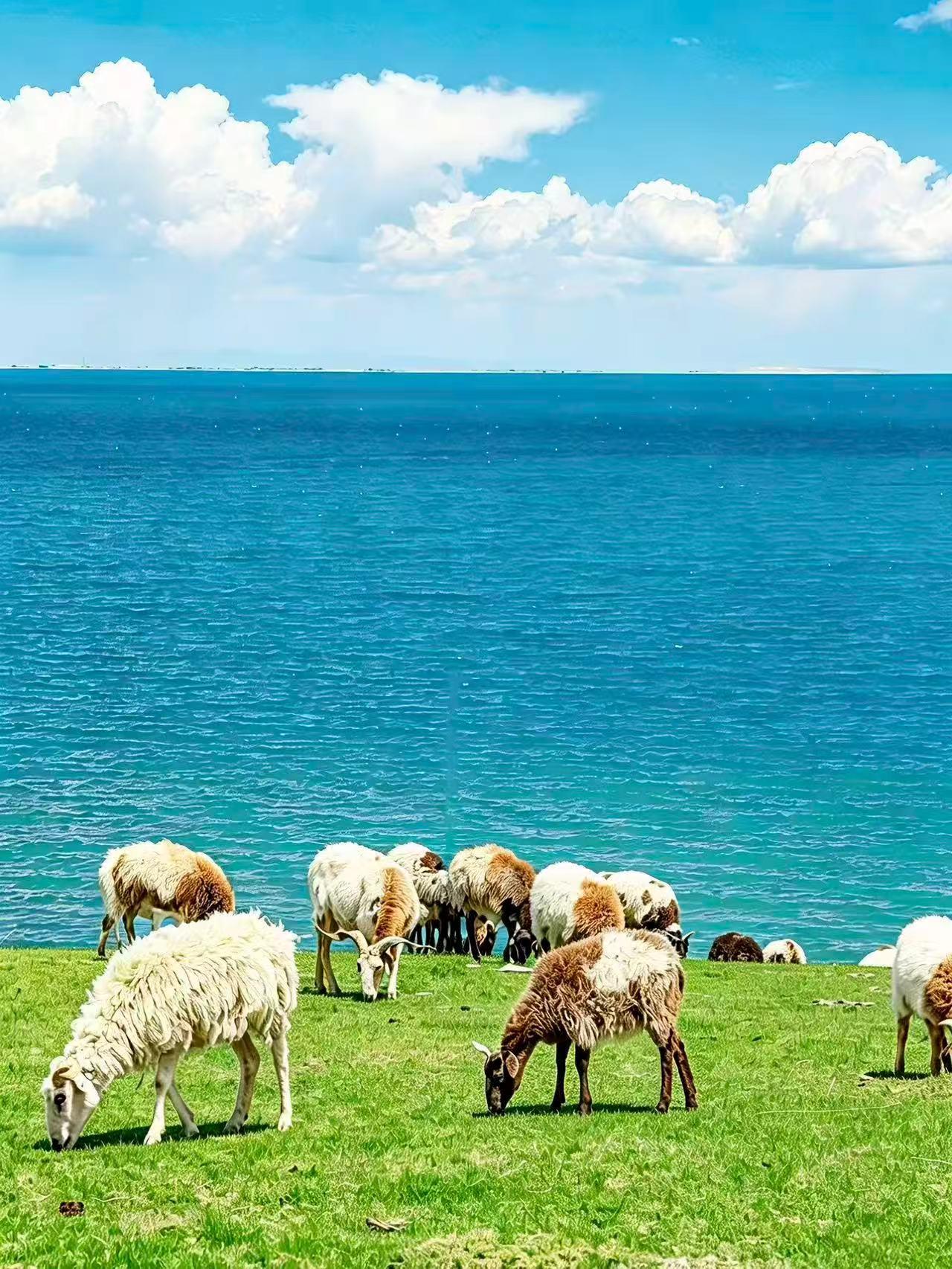 五一西安→青海5日，青海湖+茶卡盐湖美翻。📣西安宝子看过来 五一避西...