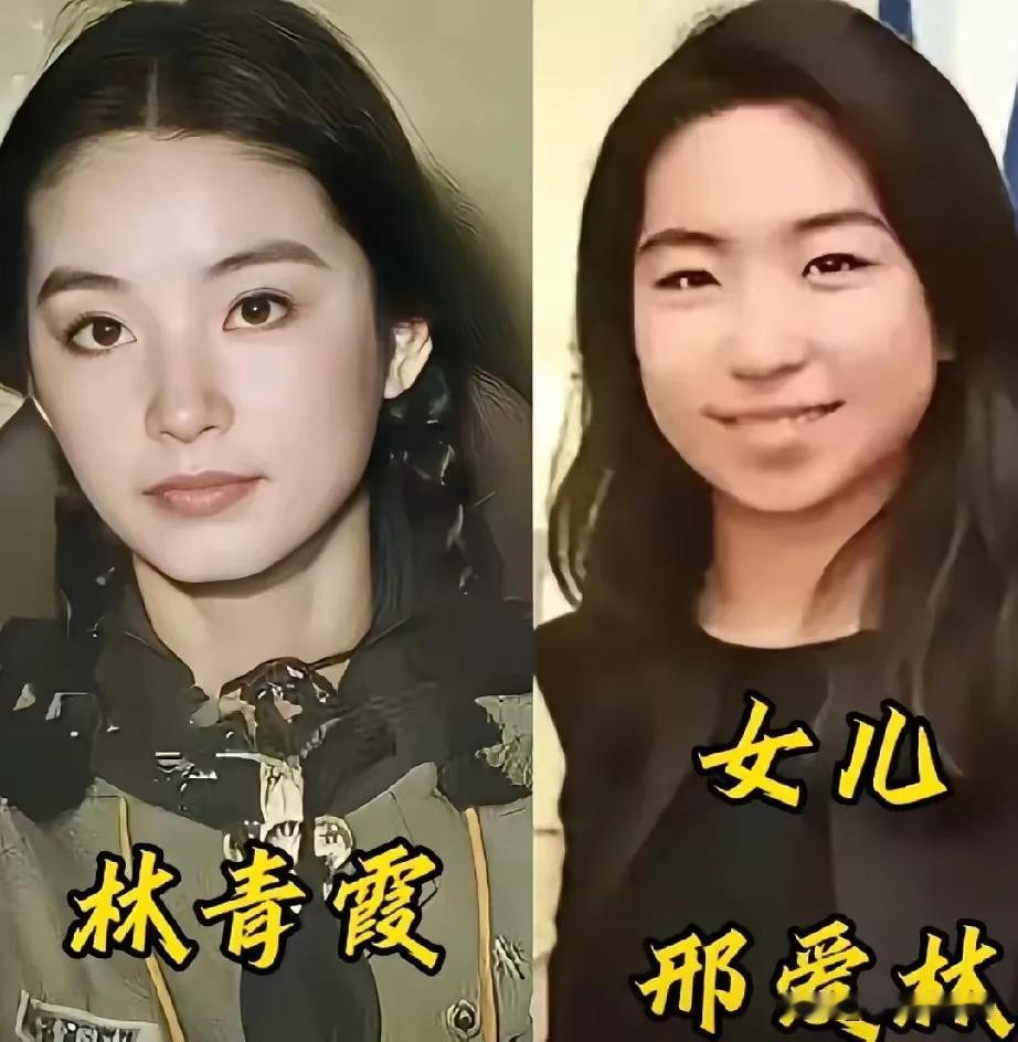 星二代没有接住妈妈的颜值挺可惜。
林青霞五官如画,气质优雅而大气。林青霞年轻时的
