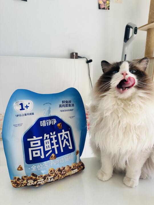 请问大家猫咪掉毛严重怎么办