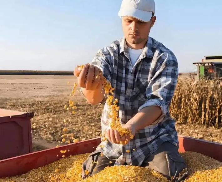 中粮突然扫货 18 万吨美国大豆！经济捡漏抄底，实在是精明

最近国际农产品圈悄