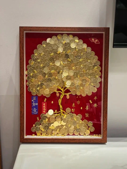 没想到硬币发财树这么好看😍