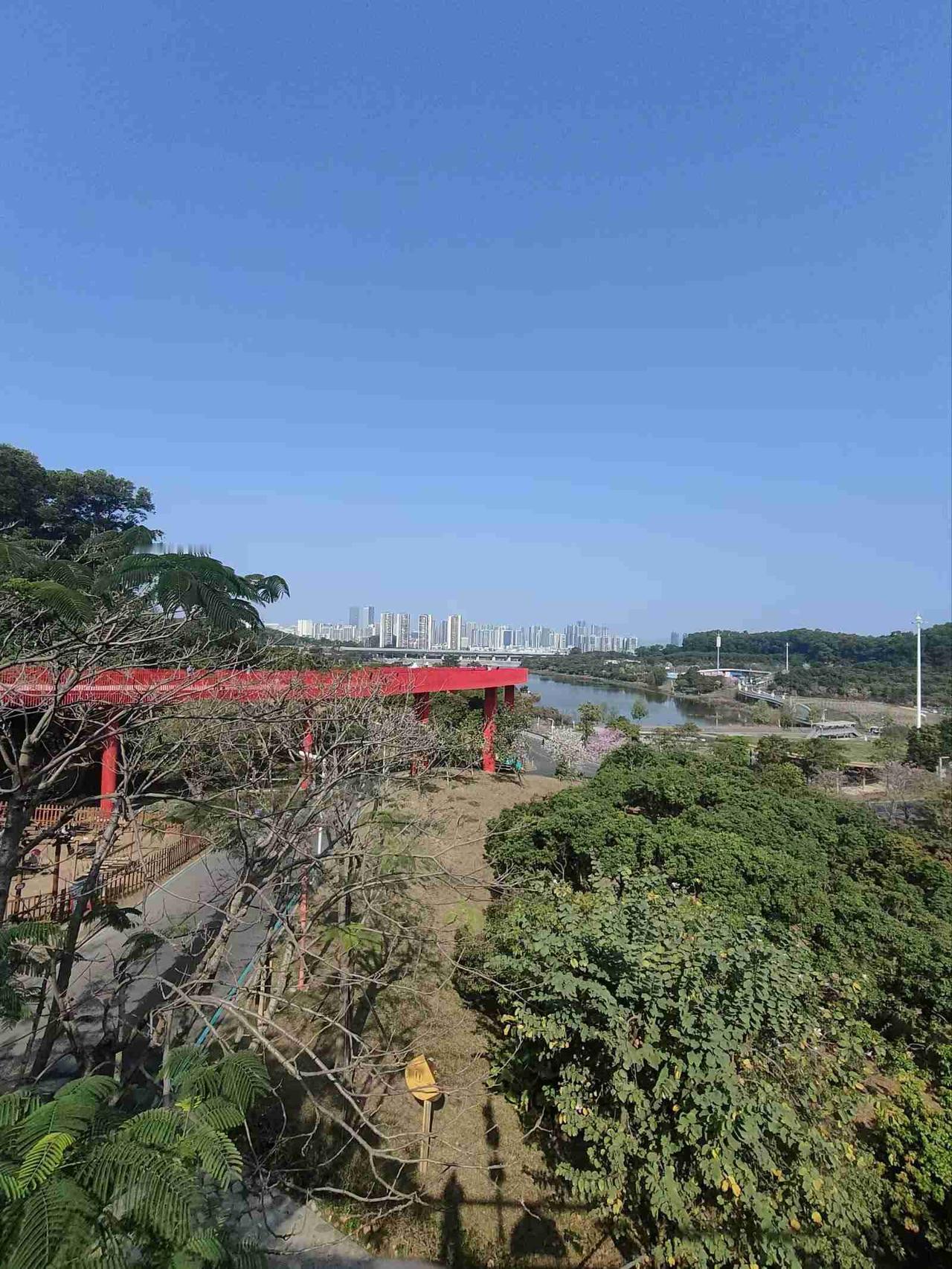 我的今日状态：😁轻松愉快
我这里的天气：☀️晴天
好久没出来晒太阳了