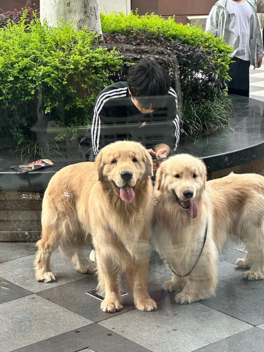 每次出门被问这是双胞胎吗？