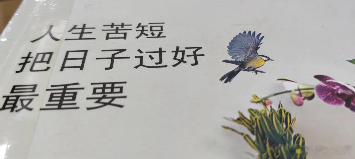 股市亏多，把下跌利用好！      人生苦短，把日子过好最重要。 股市亏多。我们