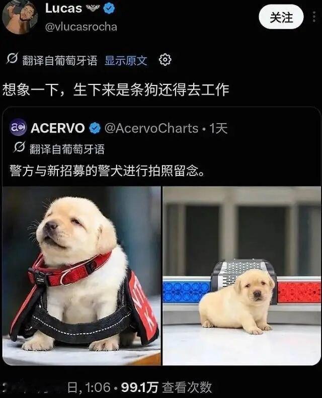 有编制 ​​​