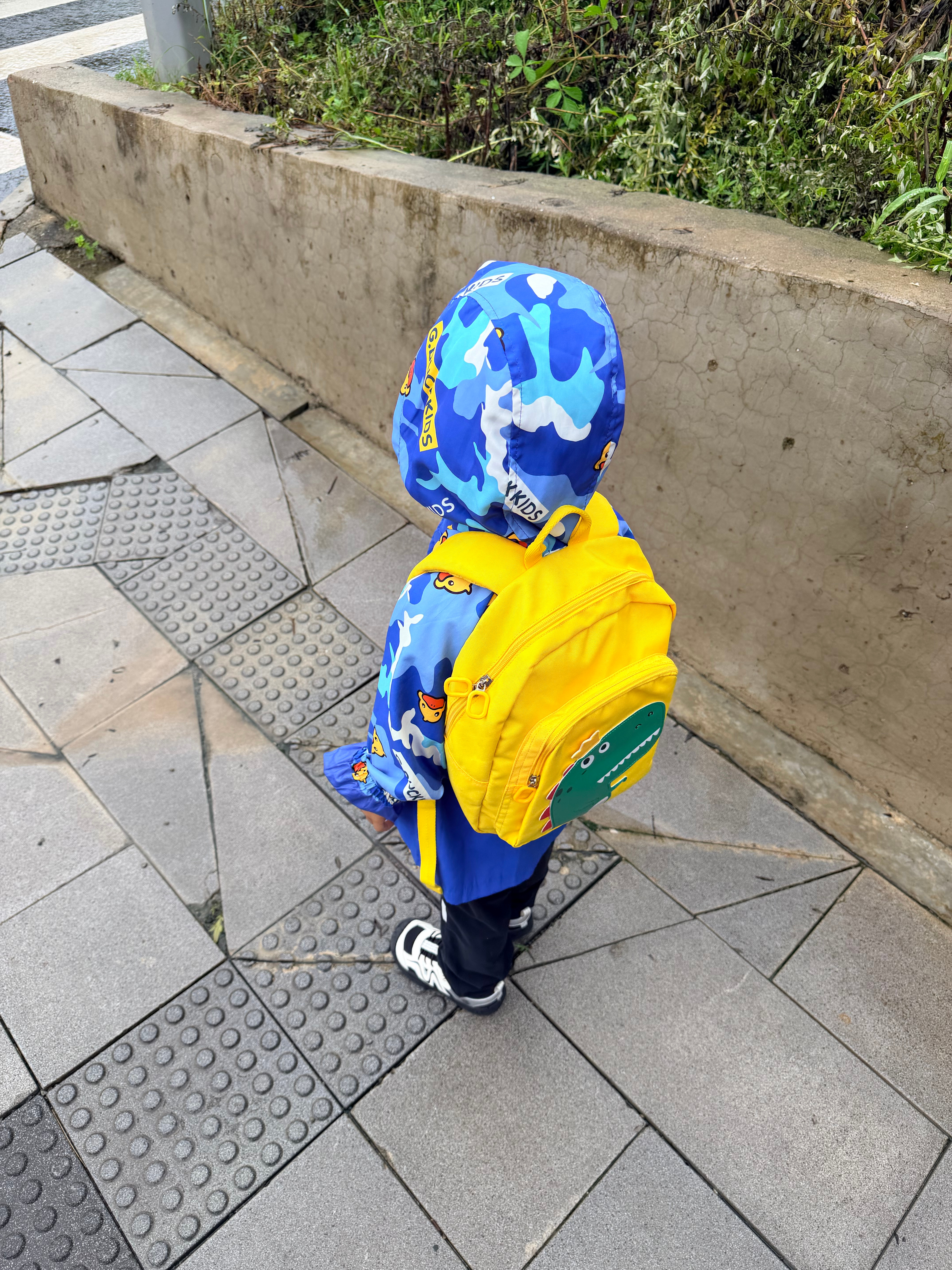 今天兜崽不穿新衣服，一定要穿这件蓝色的。婆婆说这衣服不是这个季节能穿的。他：“因