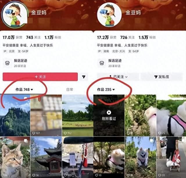 500多条旅游视频突然隐藏！张家齐妈妈旅居生活，惹来全网热议