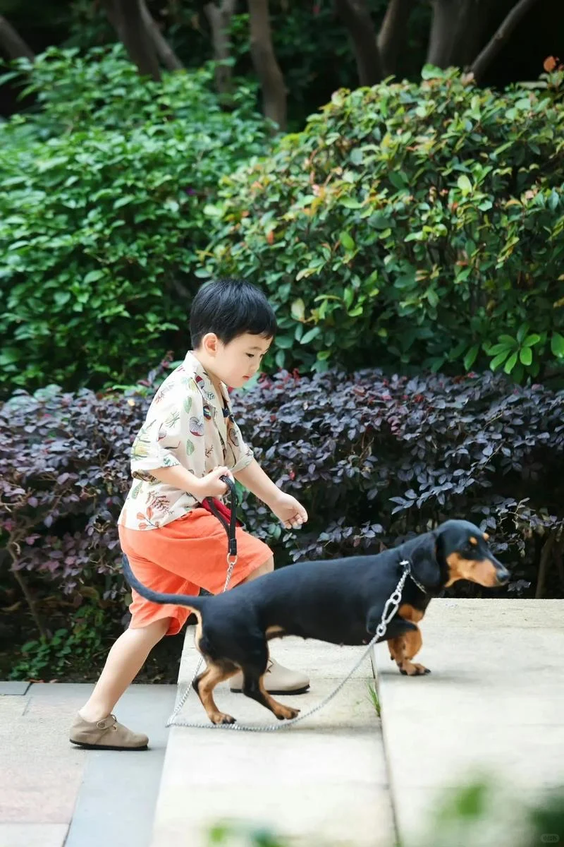 轮流被人揭老底网暴，之前是奚安娜 一家，现在是三喜 一家，下一波也不知...