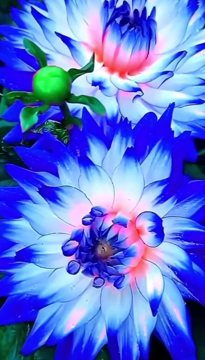 #你治疗自己的良药是什么#每个人治疗自己的良药可能各不相同。对一些人来说，可能是