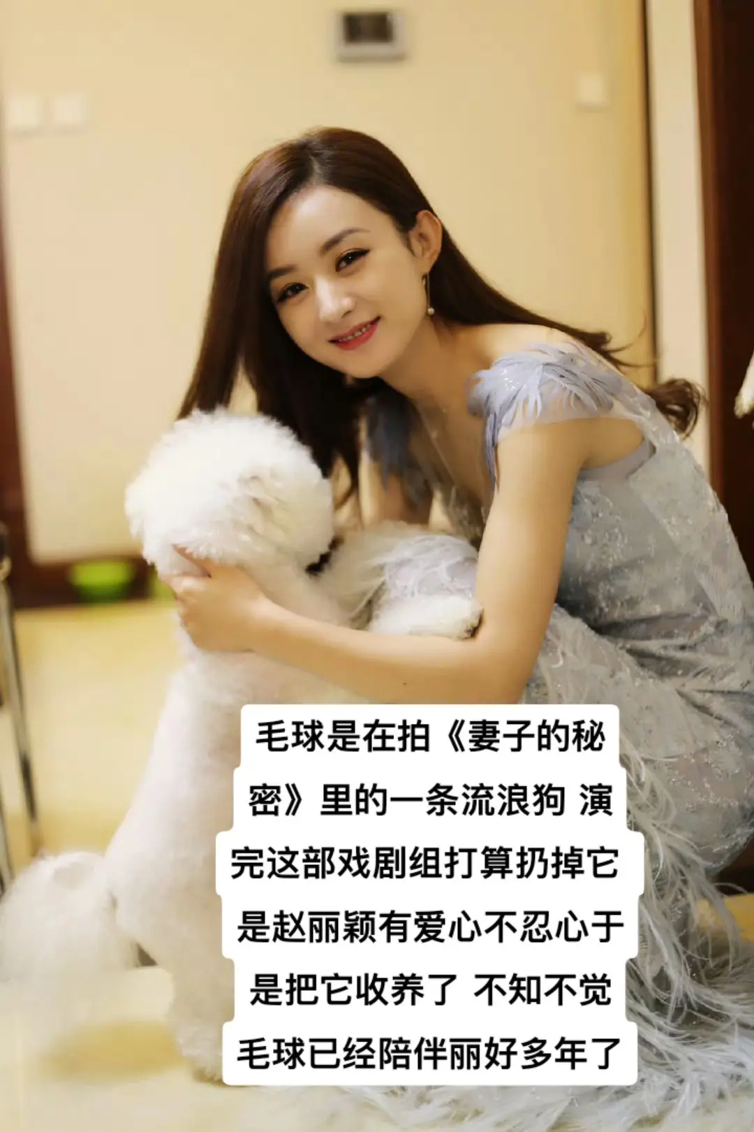 《妻子的秘密》里的一条流浪狗 演完这部戏剧组打算扔掉它 是赵丽颖有爱心...