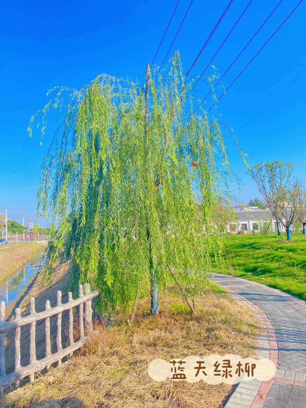 走亲访友之际随拍。祖国的壮美，俯拾皆是。今生不悔入华夏，来世还入大中国！