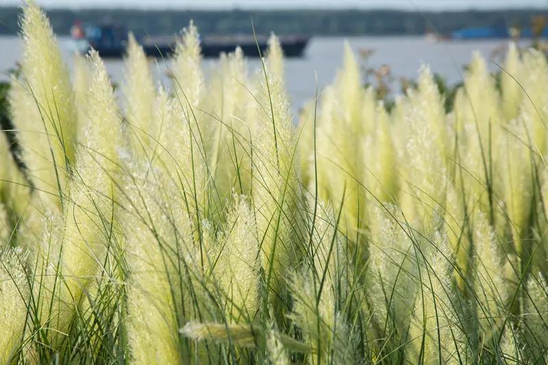 人生总有一些重大事件难以逃避，此时换个环境，或许真不失为一种绝佳的自救之法。就像