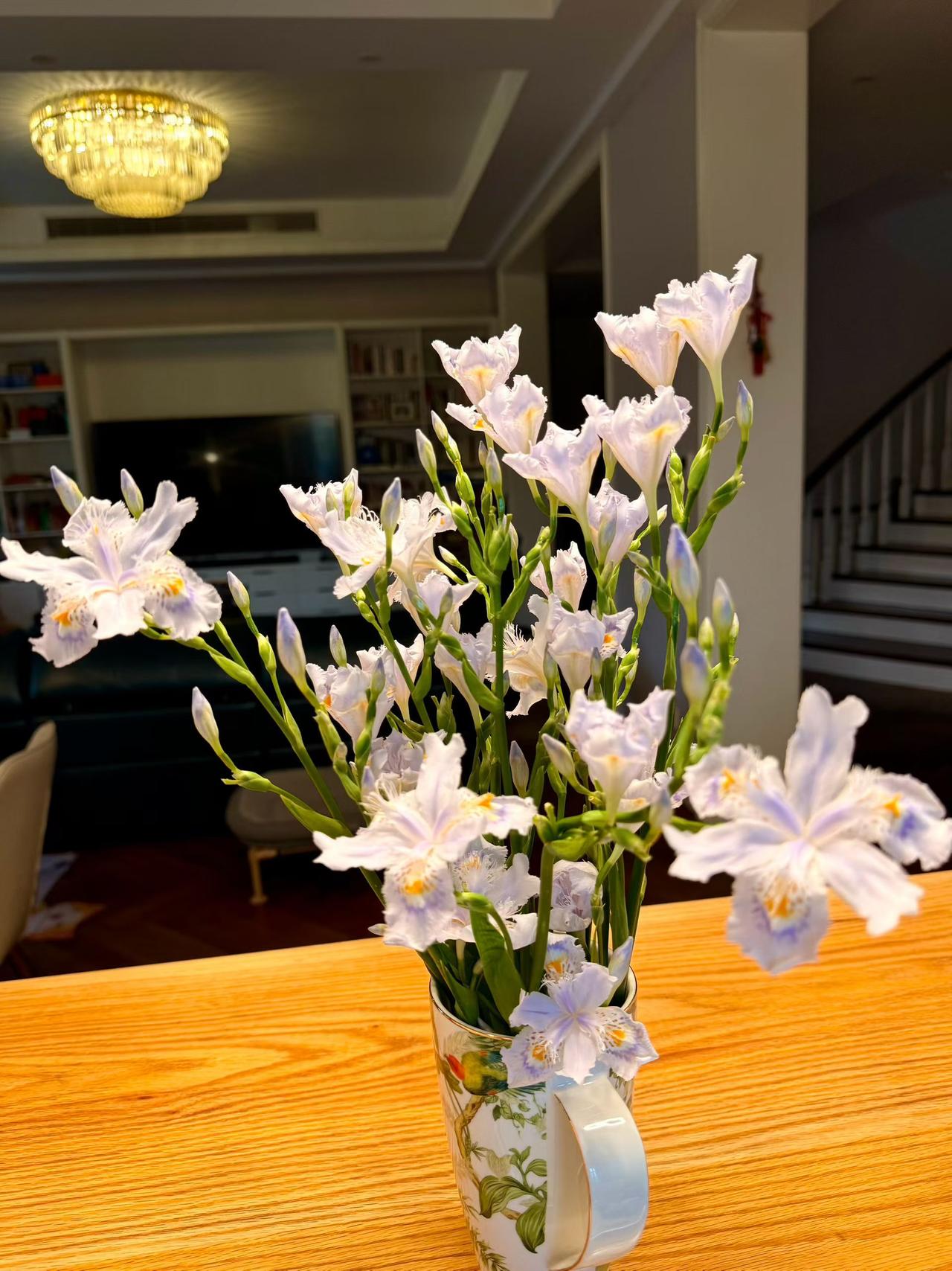 居家劳作：蝴蝶花是早春开放的，也叫扁竹根，还是一味中药呢。
爱上种🌹