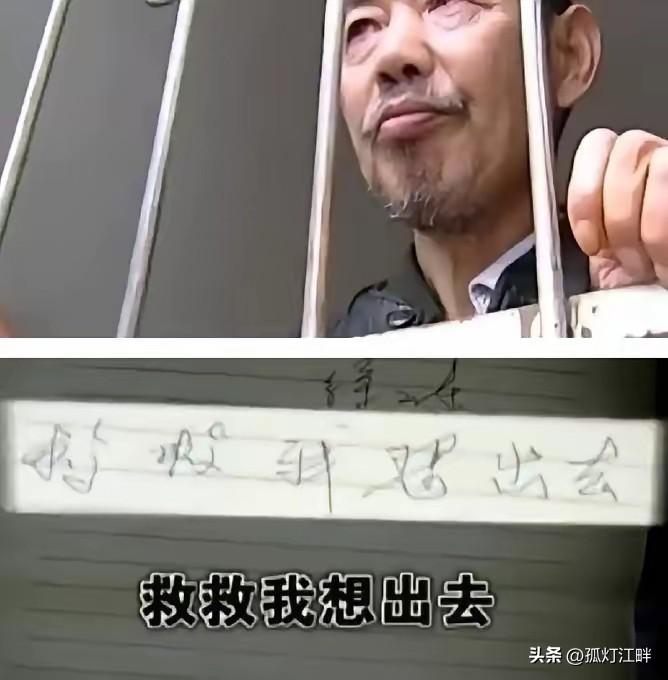 涉事官员以免职+党纪立案了结，无一人被刑事追责；涉事医院与鉴定方未被追责；徐林东