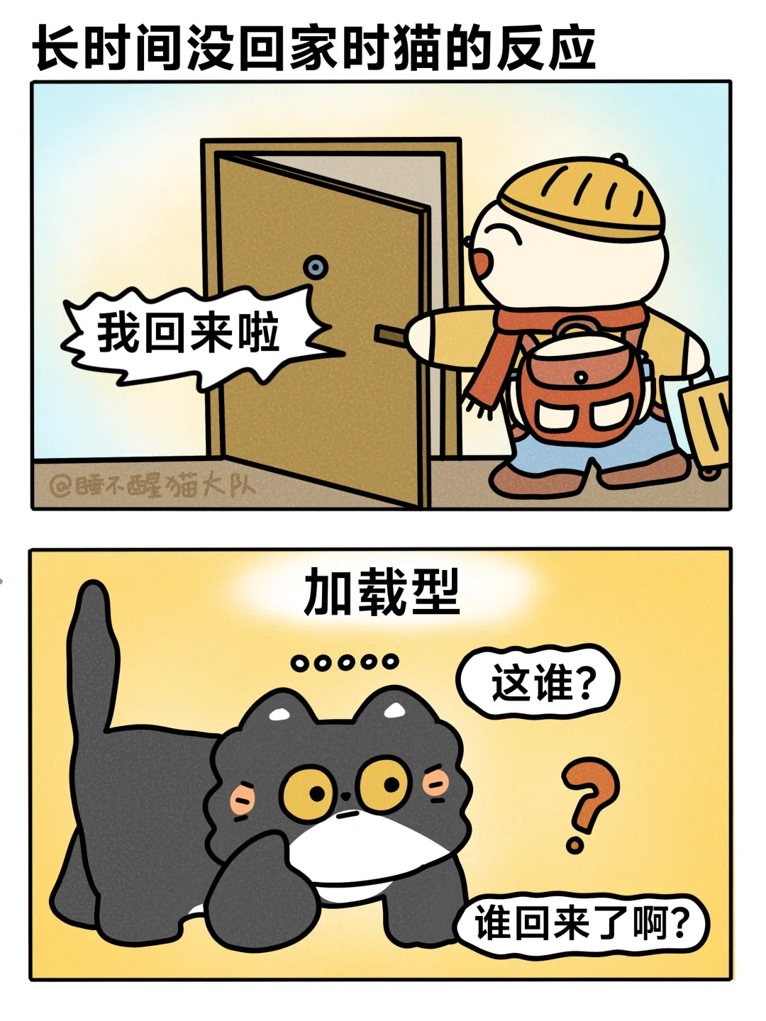 小猫我啊就喜欢一只猫在家