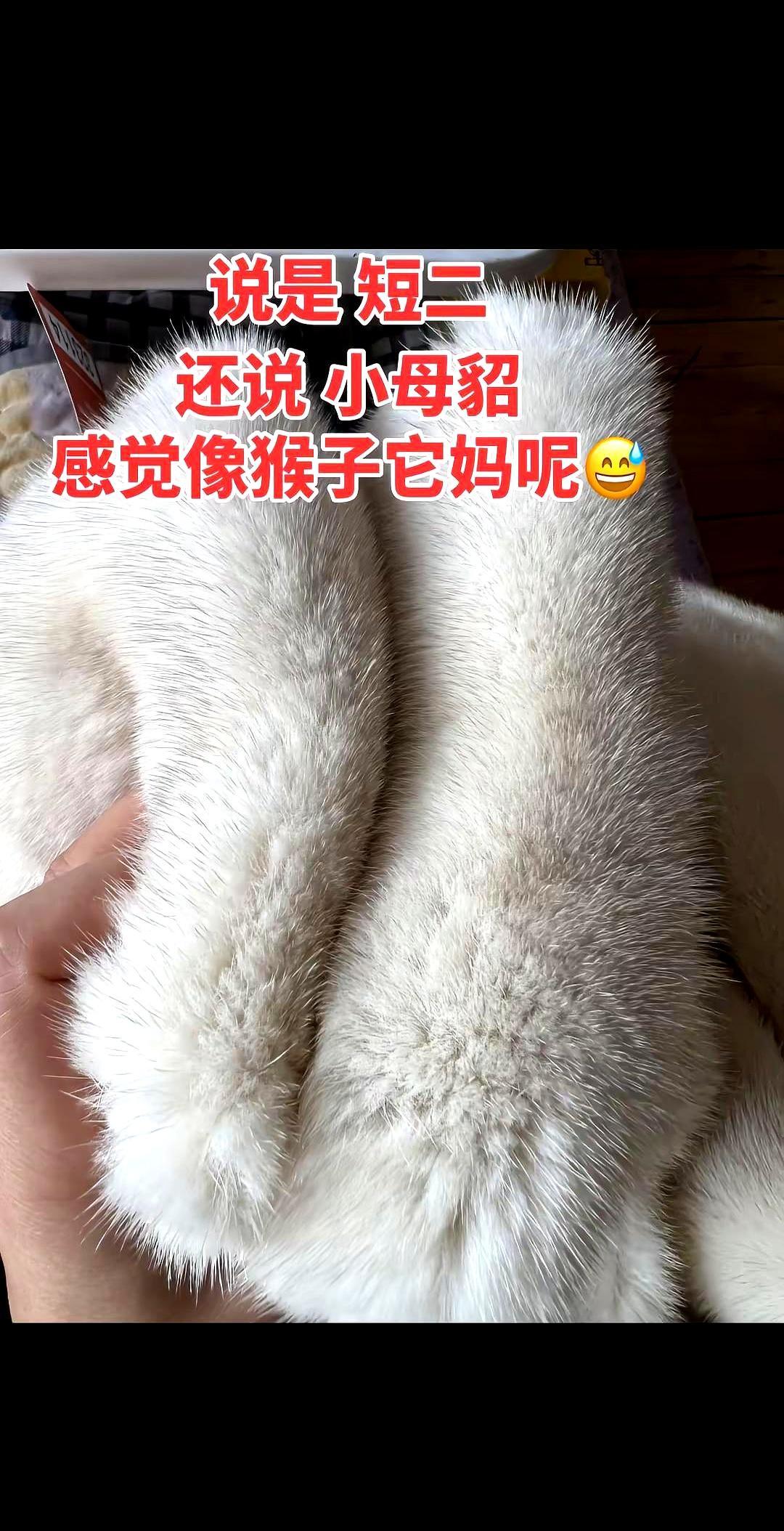 想买貂？先听真话。
 
一件整貂，少说十来只水貂，万把块起步，保养一次几百。南方