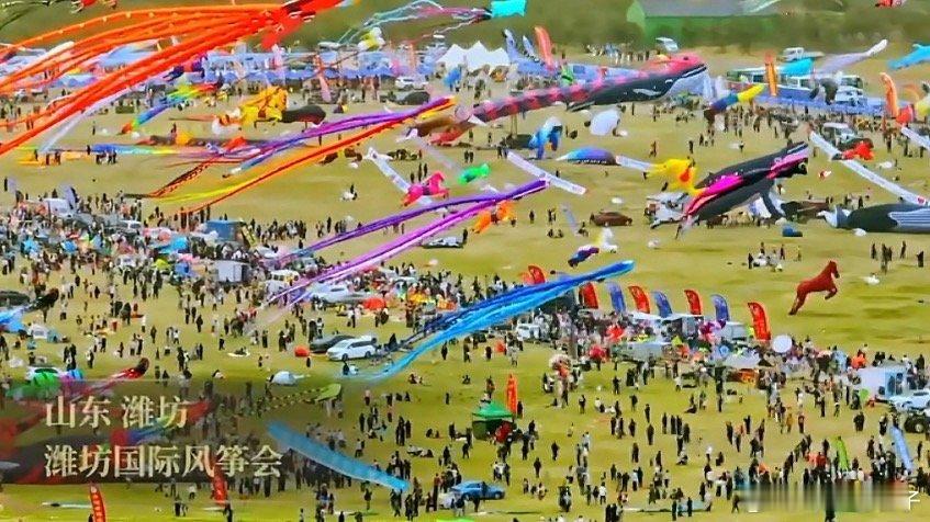 潍坊风筝的DNA从4500年前说起凤鸟文化太热闹了 