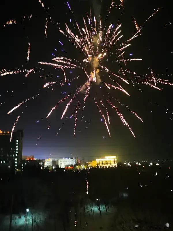 天南地北大拜年