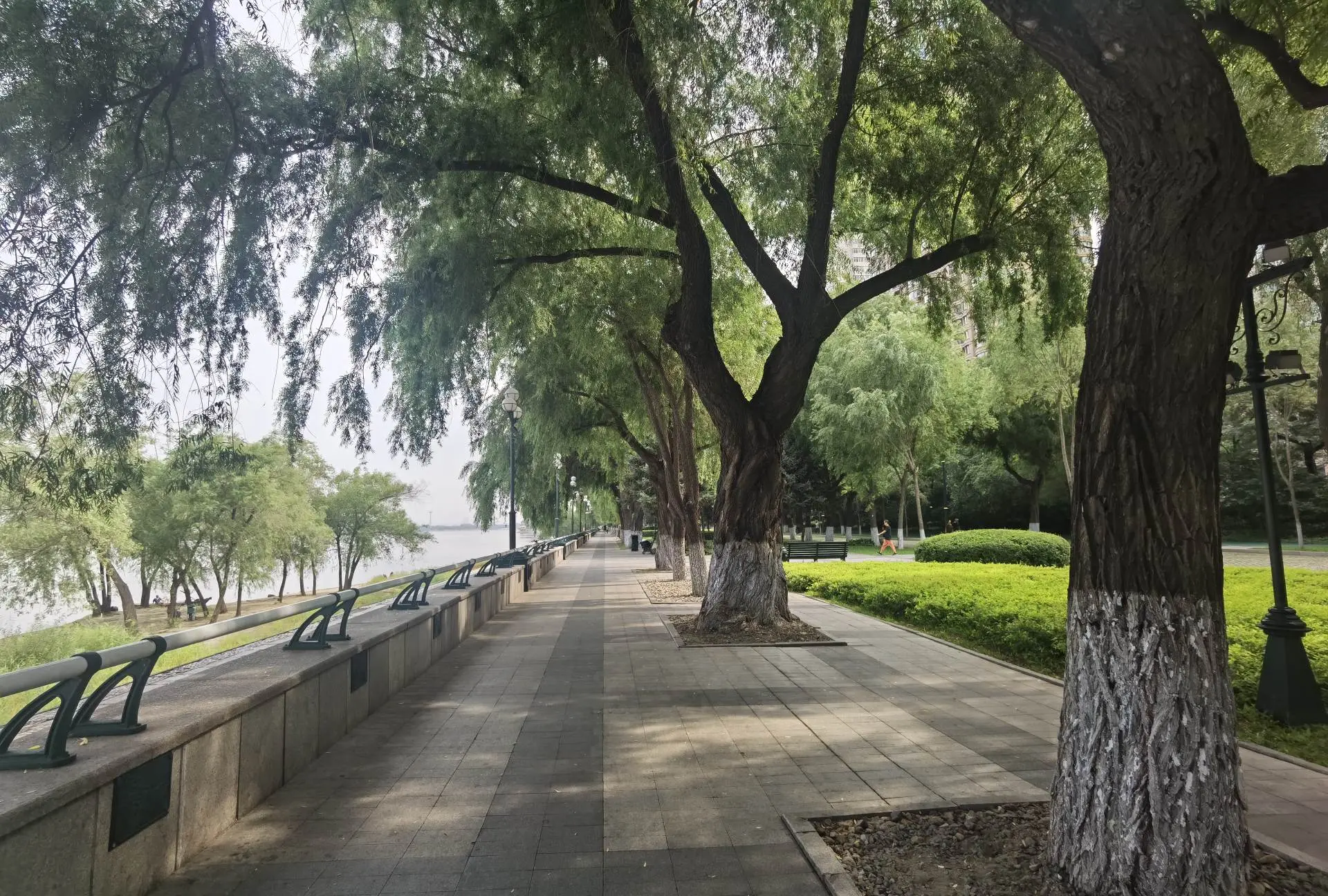 家乡—哈尔滨。奔涌不息，浪花不凋。天地悠悠，岁月匆匆。江还是那条江，水...