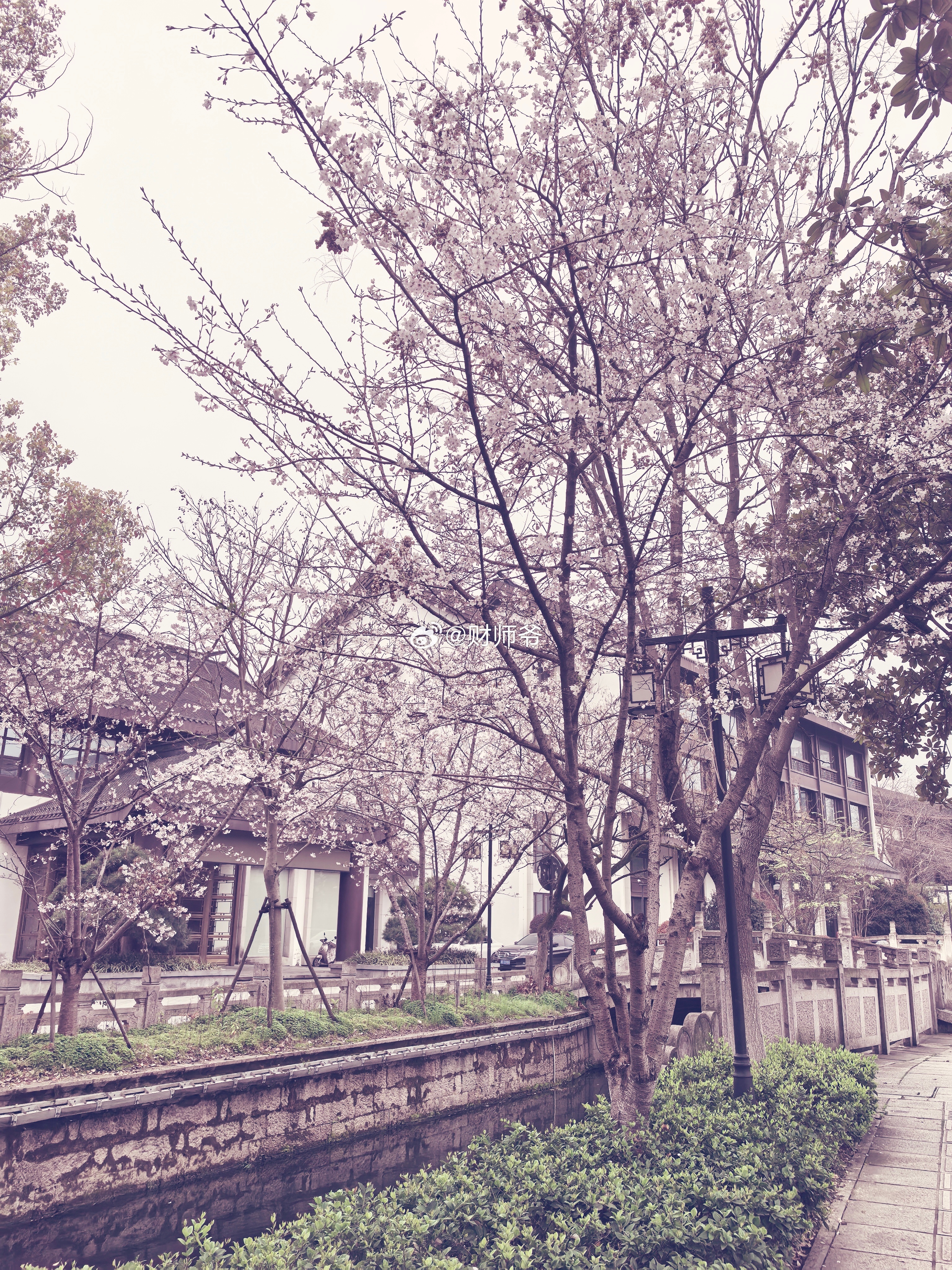 绍兴的街头，是很美的。 绍兴·大通师范学堂