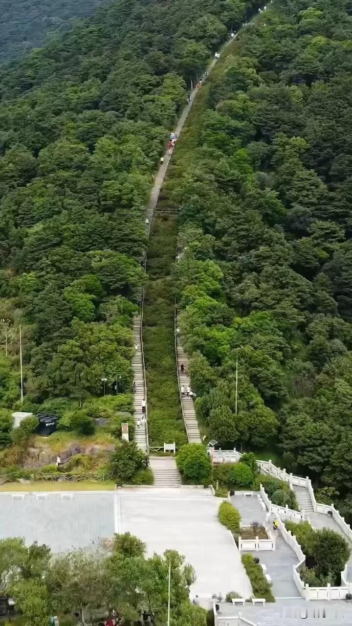 ‌生活不是为了赶路，而是为了感受路。‌ 我们常常在生活的道路上匆匆前行，却忽略了