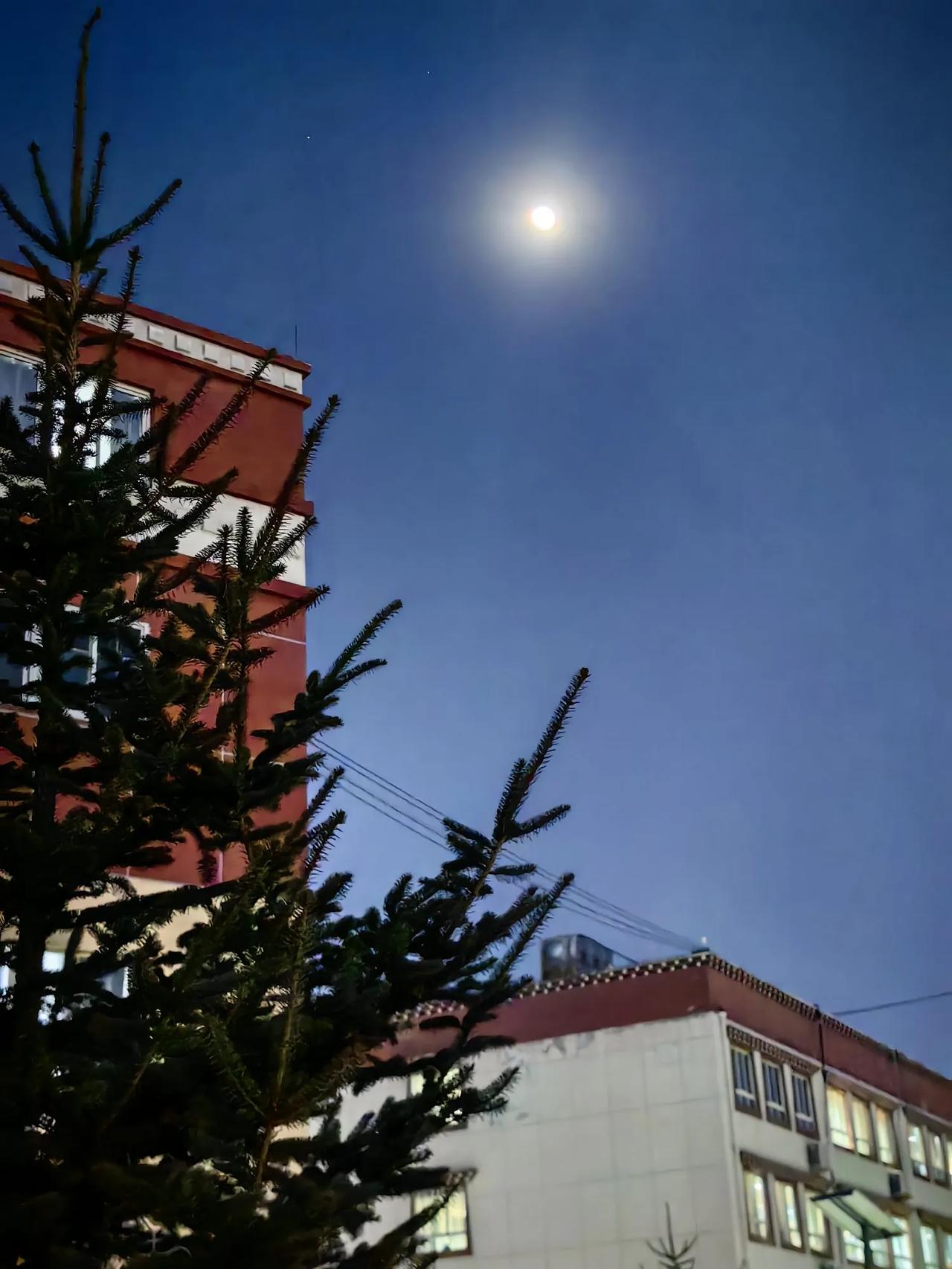 月满高原夜，心驰万里光

2025年12月4日，是农历十月十五。傍晚时分，新都桥