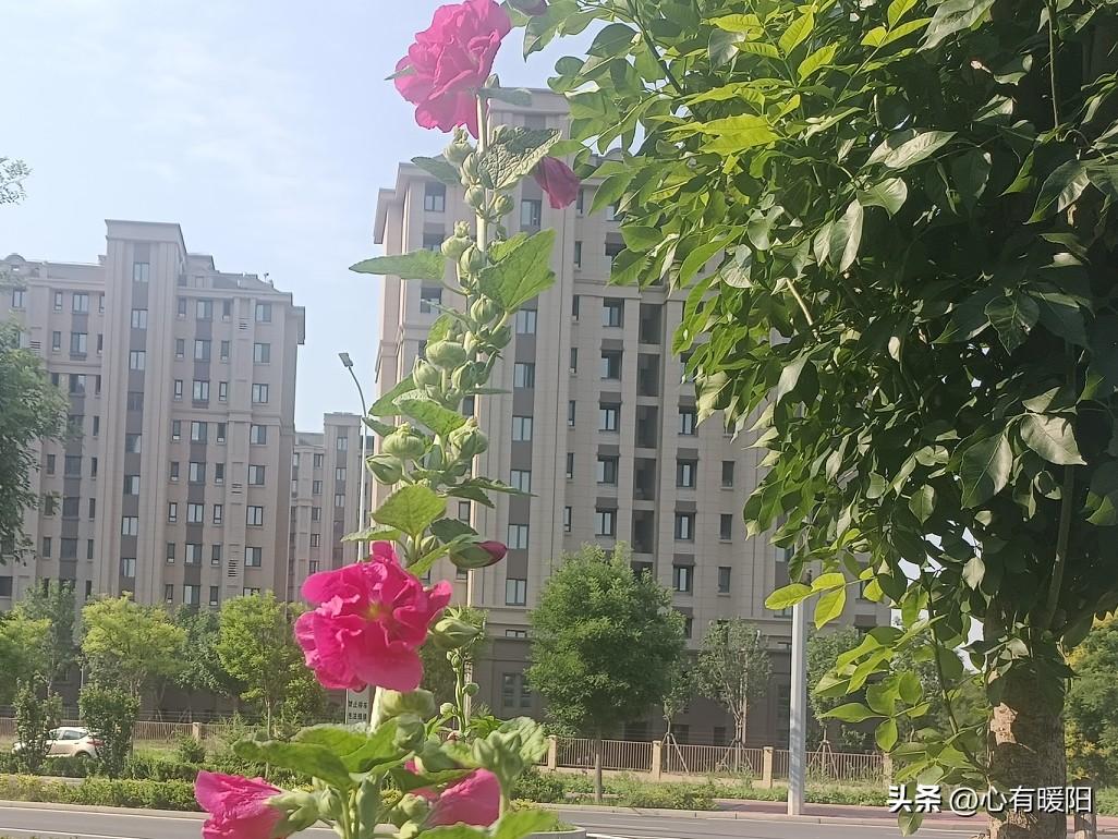 突然变冷淡、手机不离身、洗澡都带着、记性变好又突然健忘、对你格外客气疏离、行踪含