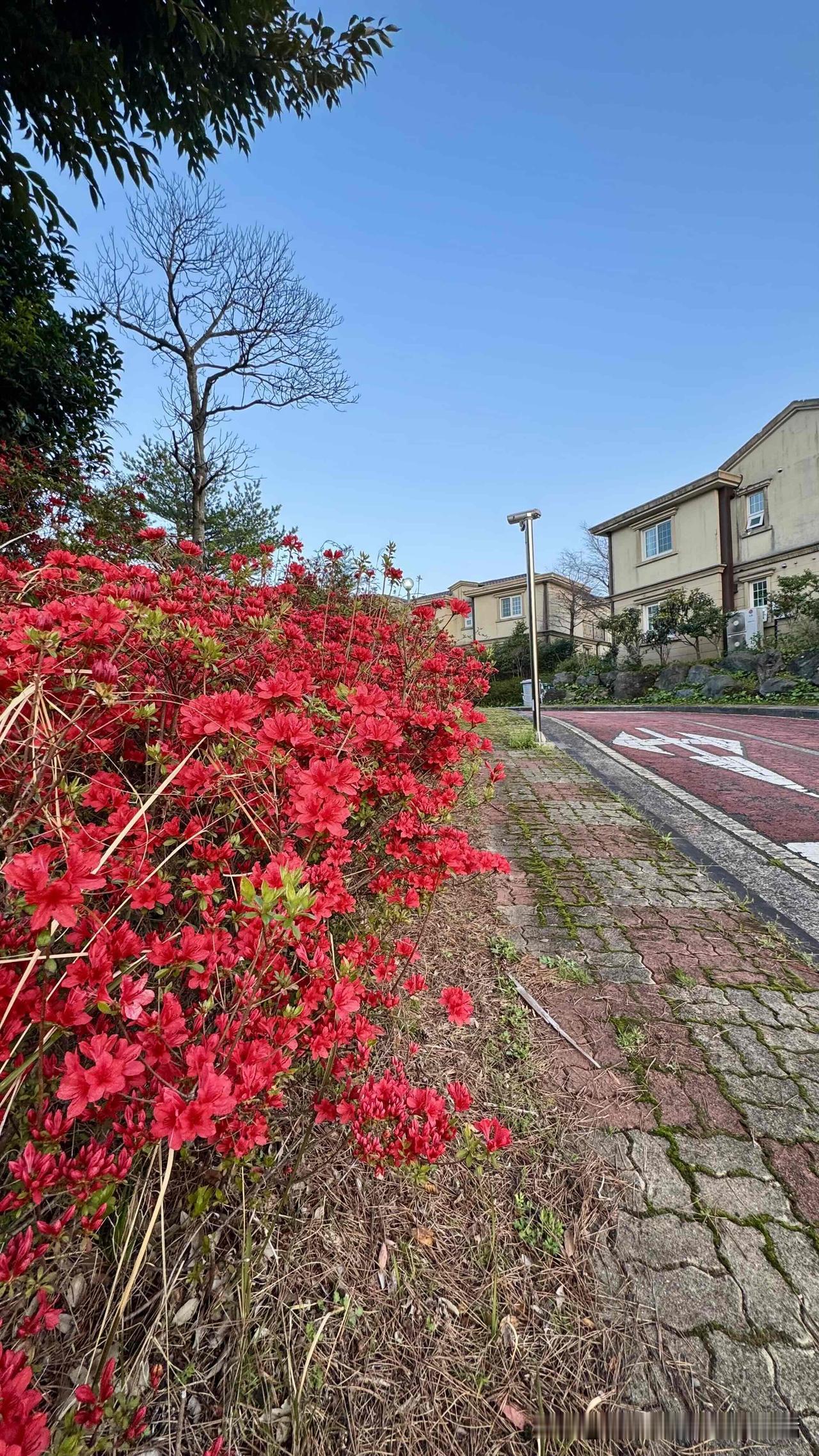 机场真是一个奇妙的地方，这里既是起点，也是终点；同时也是飞机经停休整后、继续启航