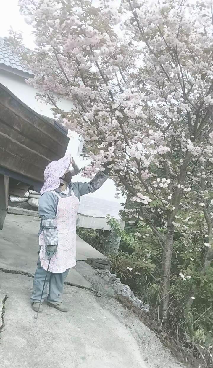 有本事的女人，把男人哄得像摇钱树，摇一摇钱就来了，没本事的女人呢，把自己累成狗?