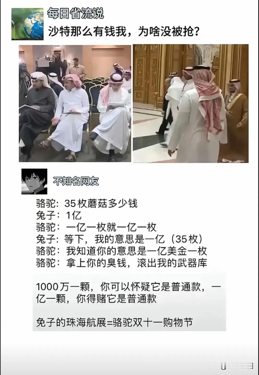 沙特那么有钱，为什么没被抢？