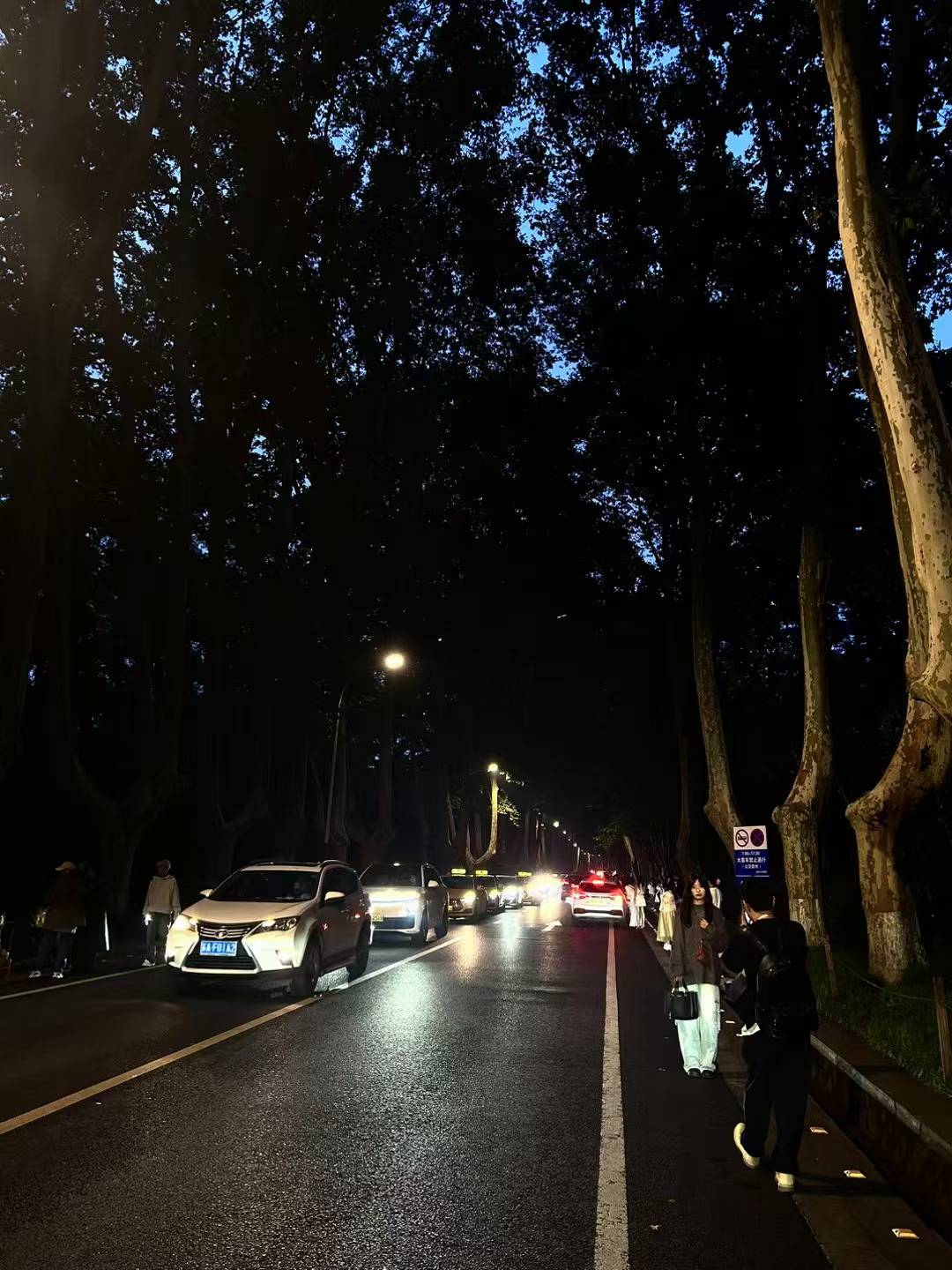 这人去不去梧桐大道带着爸爸去其实感情是不一样的因为大学往返可以是爸爸从无锡开车2