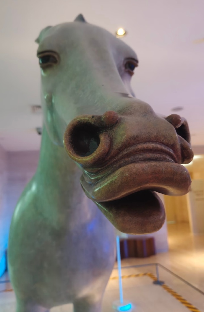 侧脸一般正脸就不一般