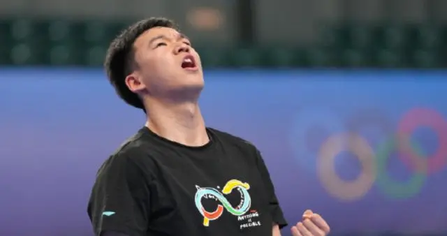 向鹏斩获男队选拔赛冠军，锁定伦敦世乒赛参赛资格