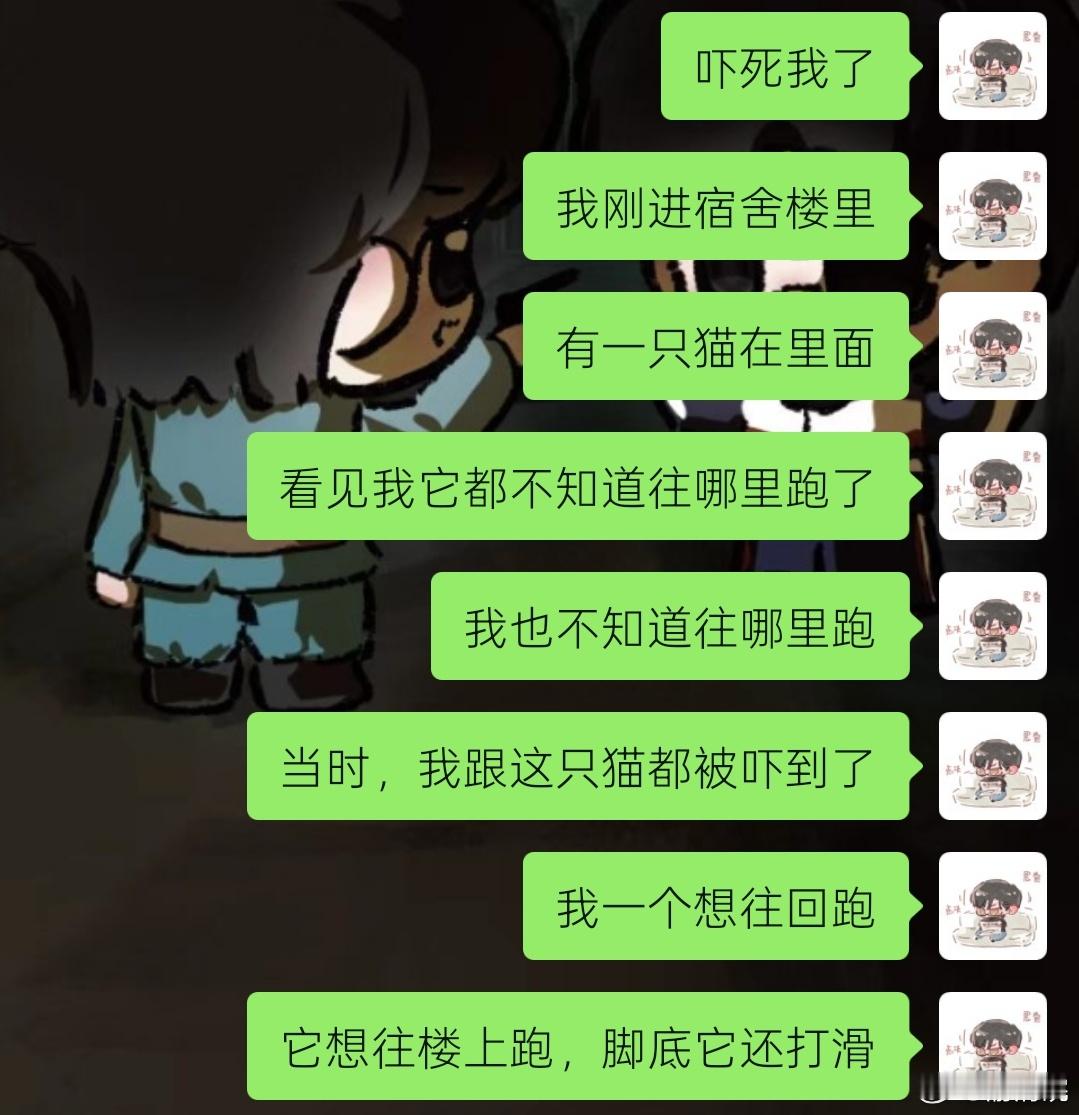 小猫咪你真的吓到我了。 