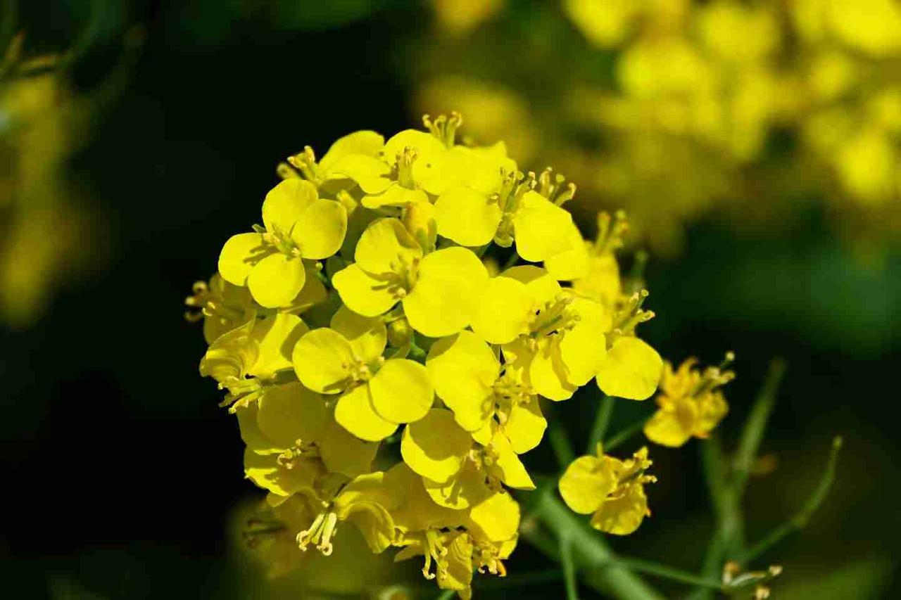 我的今日状态：😁轻松愉快
我这里的天气：☀️晴天