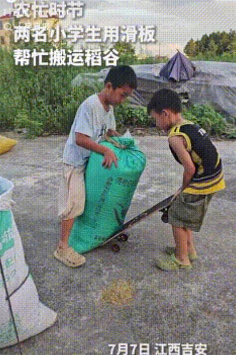 “还是新脑子好用！”江西，农忙时节两男孩想帮忙干活，而谷物袋太重，他们根本就搬不
