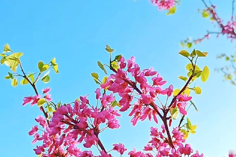 任何一个女人找你聊天都不是为了哄你开心。

而是能从你身上得到少许的价值，比如陪