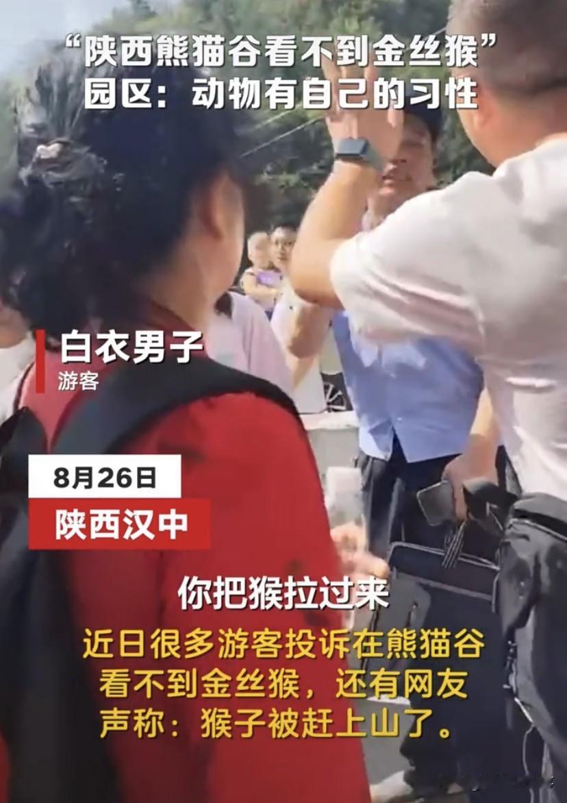 厌蠢症犯了！陕西汉中，不少游客来到熊猫谷看金丝猴，因为没有看到野生的金丝猴，竟然