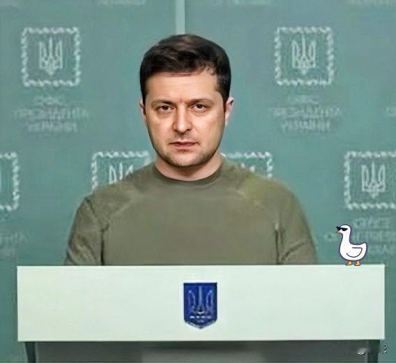 笑到不行，今天听说泽连斯基派人来找我们了？一看到这消息，瞬间就想起了那个曾经的“