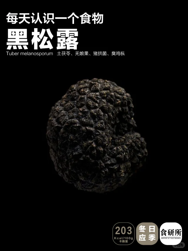 [蔡澜]首推好吃又[简单]的[黑松露炒蛋]