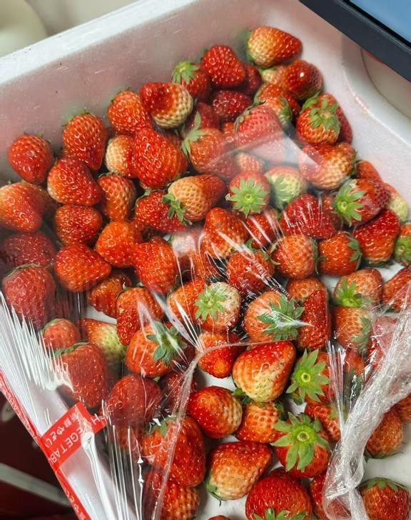 路遇美丽水果摊 菜市场里找春天
路遇美丽水果摊 菜市场里找春天